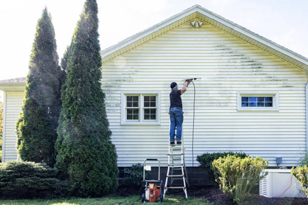 Best Roof Washing  in Ripley, WV